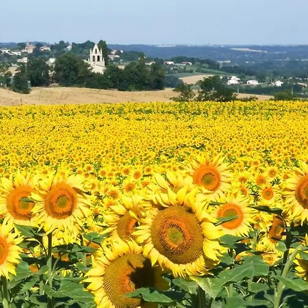 Vakantiehuis Belsoulel Au Coeur Du Tarn